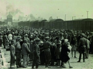 L'arrivée des juifs hongrois à Birkenau