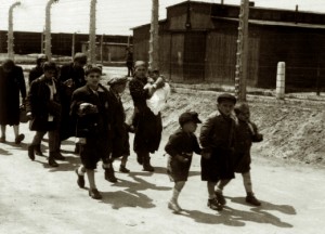 Femmes et enfants Juifs y compris les nouveaux-nés acheminés vers les chambres à gaz